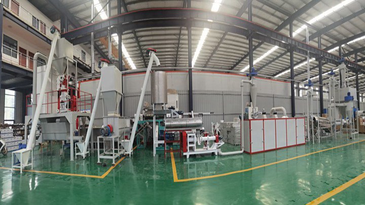 wet type Goldfish feed making machine in the Philippines